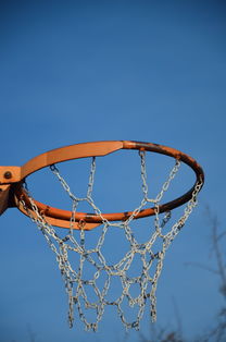 开云官网APP下载-NBA球员体能训练计划设计与效果评估，nba球员的体能训练