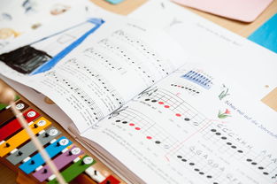 开云体育平台-中小学体育教师继续教育体系建设与实施研究，小学体育继续教育考试试题及答案