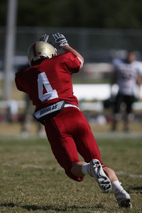 开云体育登录网站入口-五大联赛的魅力：不同国家球队的差异化风格，5大联赛球队综合实力排名